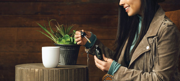 What's in a Kanibi Tincture? (And What is MCT Oil?)