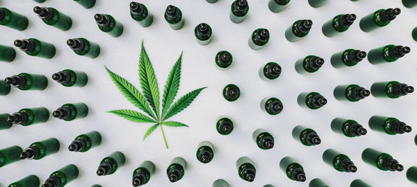 How to Choose CBD Oil