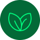 Kanibi